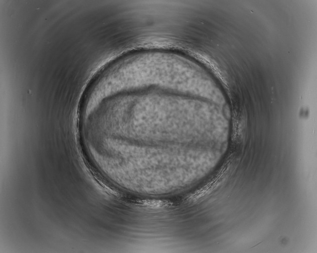 X0000098230439200805151345