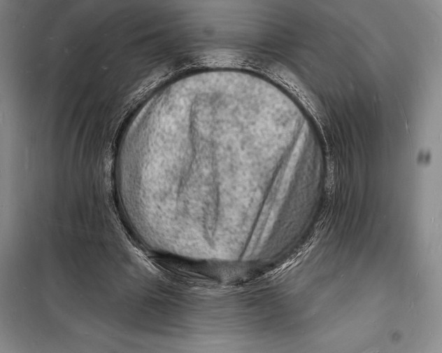 X0000098230441200805151345