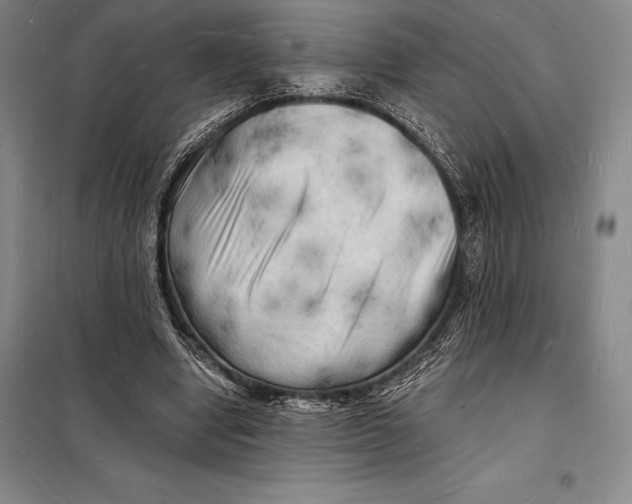 X0000098230442200805151345