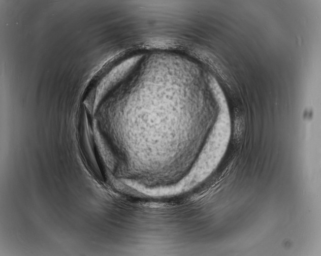 X0000098230444200805151345