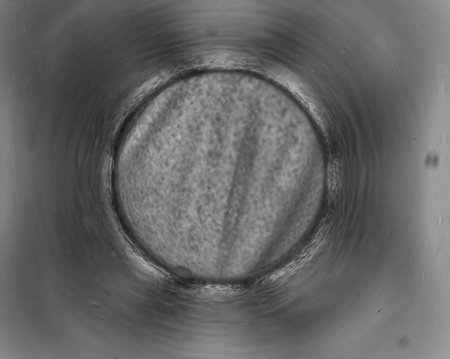 X0000098230445200805151345