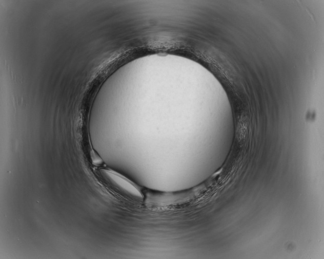 X0000098230448200805151345