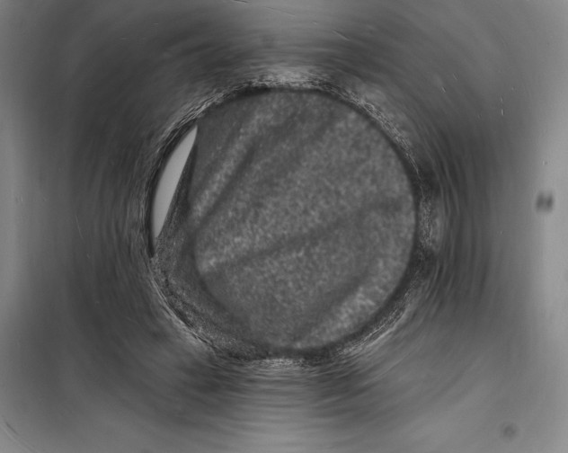 X0000098230449200805151345