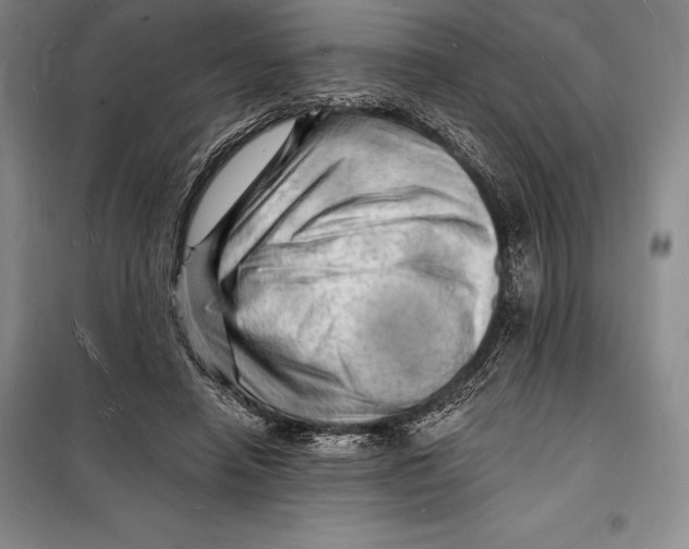 X0000098230450200805151345