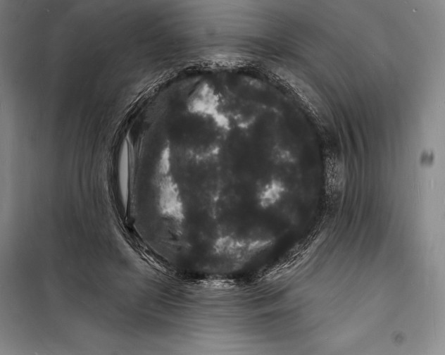 X0000098230451200805151345