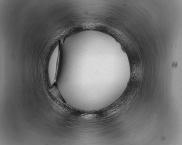 X0000098230452200805151345