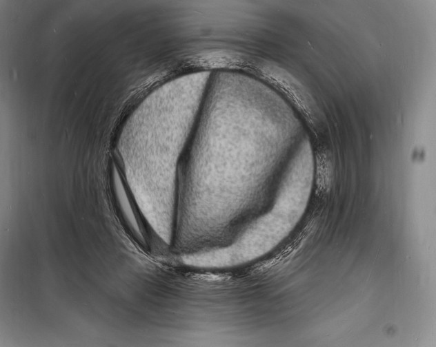 X0000098230453200805151345