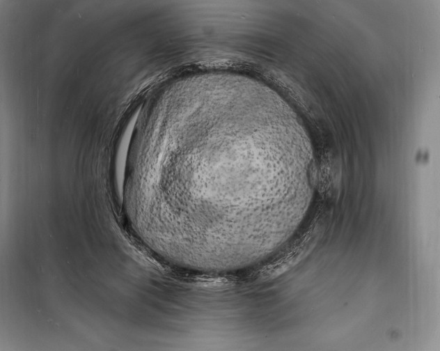 X0000098230454200805151345