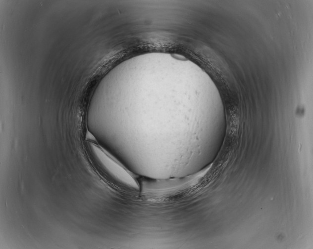 X0000098230456200805151345