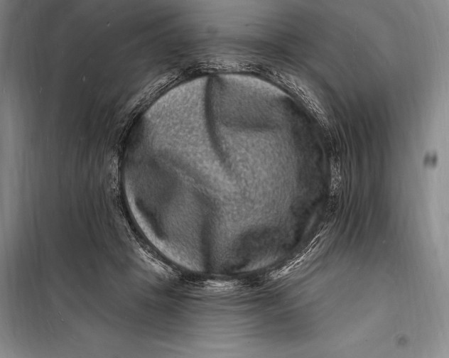 X0000098230457200805151345