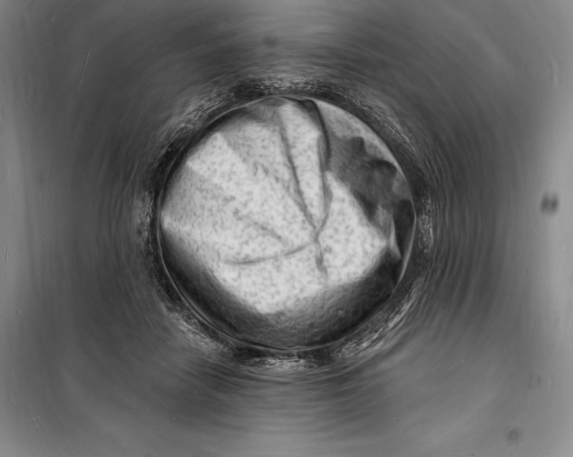 X0000098230458200805151345