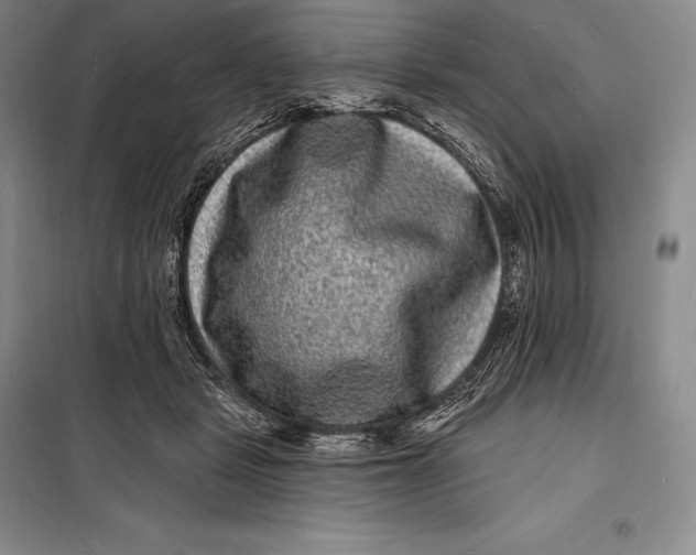 X0000098230461200805151345