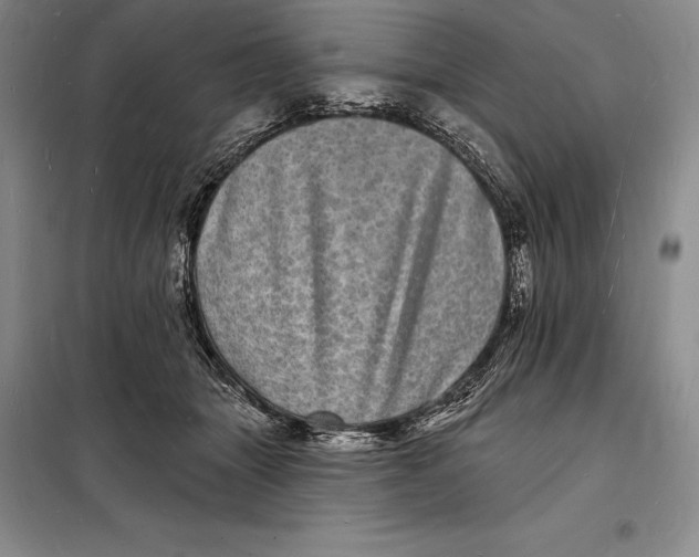 X0000098230463200805151345