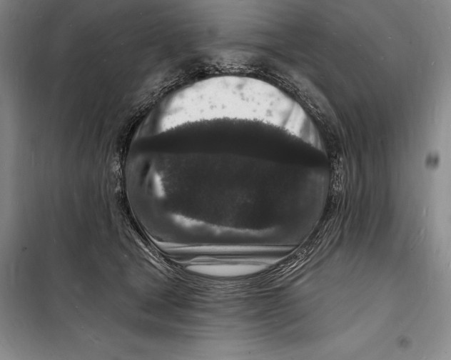 X0000098230465200805151345