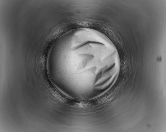 X0000098230466200805151345