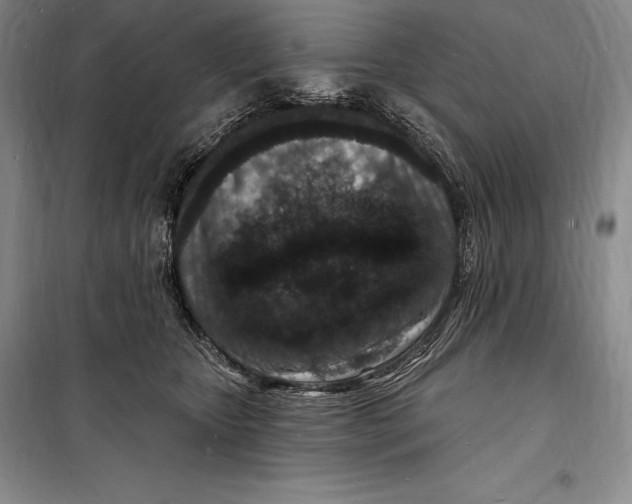 X0000098230467200805151345