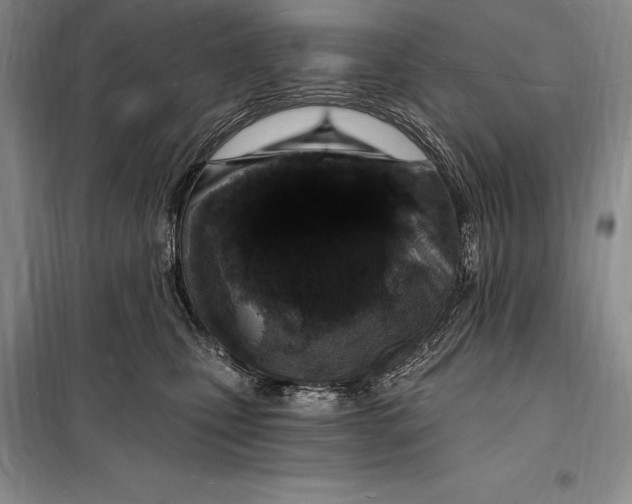 X0000098230471200805151345