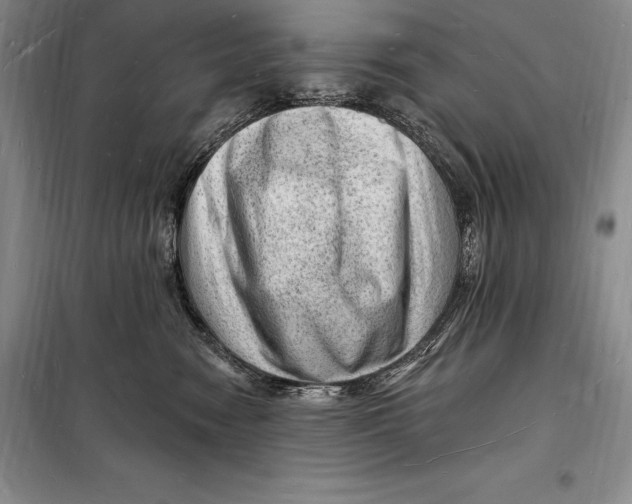 X0000098230474200805151345