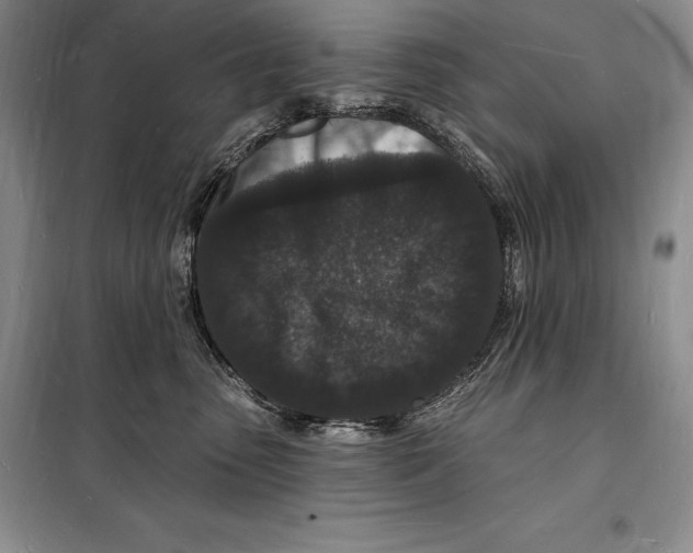 X0000098230475200805151345