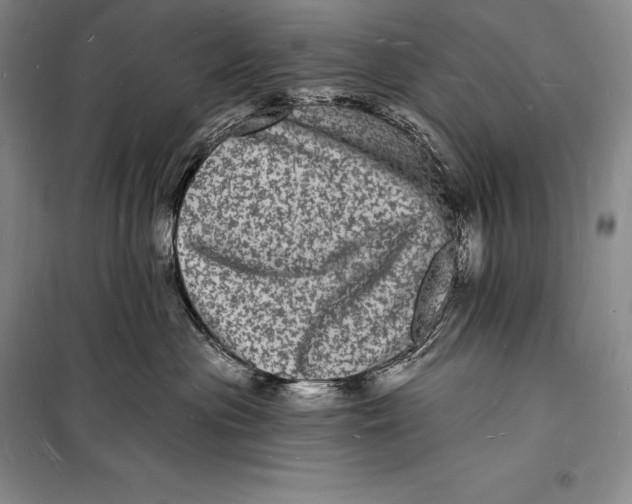 X0000098230477200805151345