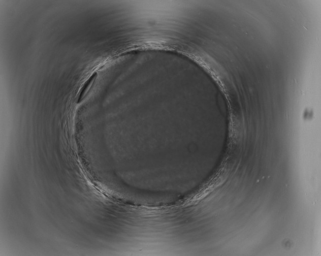 X0000098230481200805151345