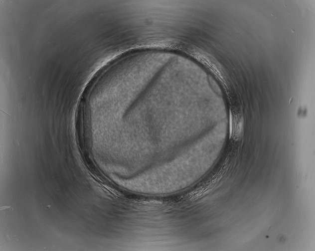 X0000098230483200805151345