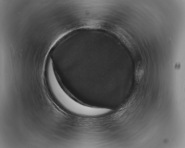 X0000098230484200805151345