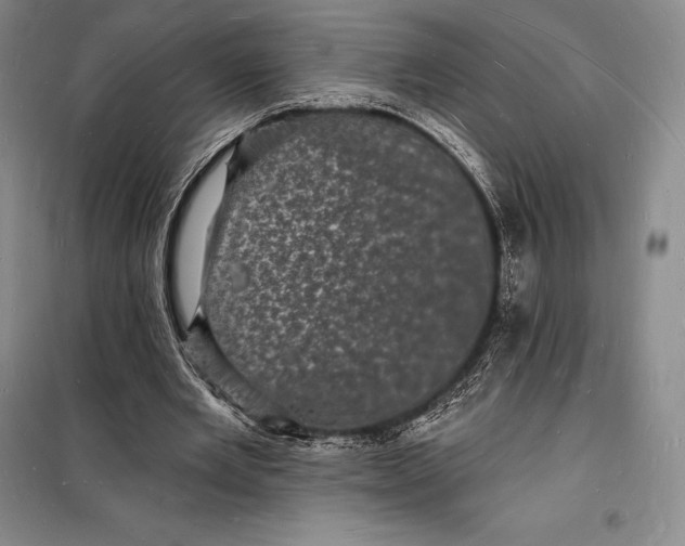 X0000098230485200805151345