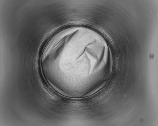 X0000098230486200805151345