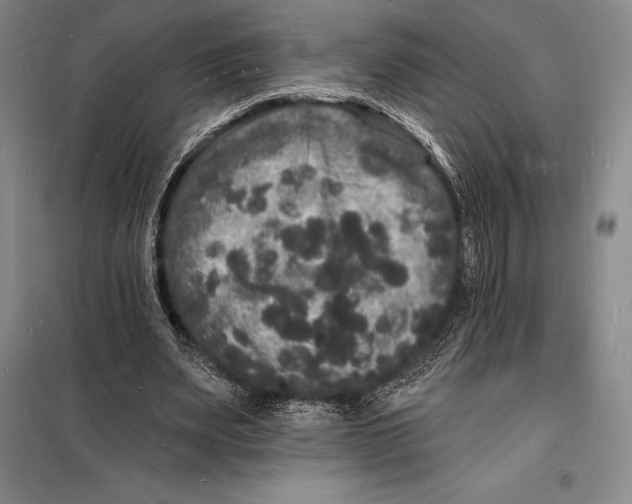 X0000098230487200805151345