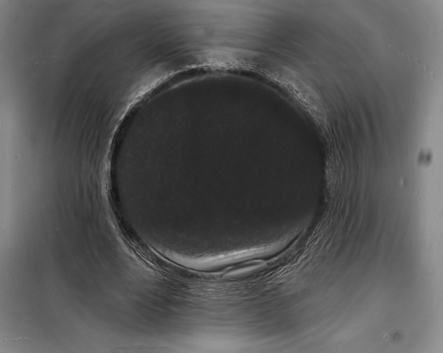 X0000098230488200805151345