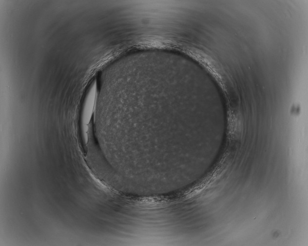 X0000098230489200805151345