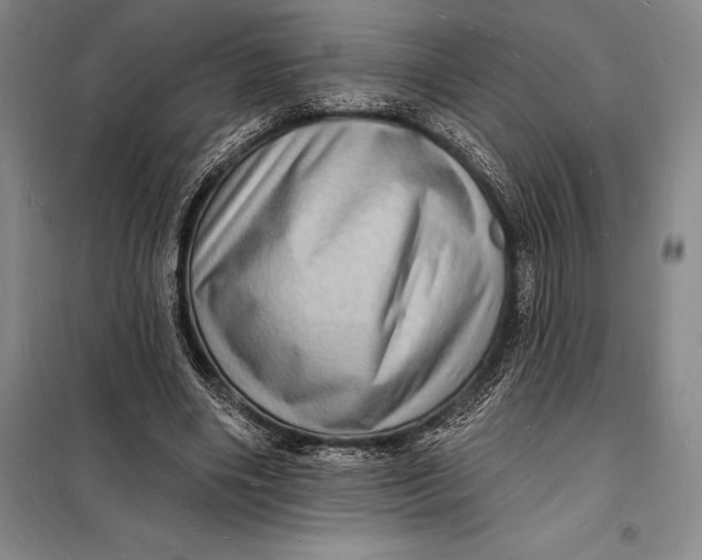 X0000098230490200805151345