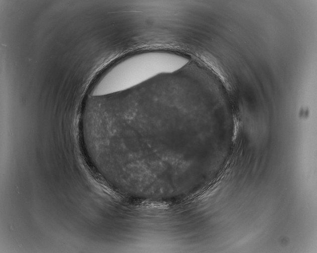 X0000098230491200805151345