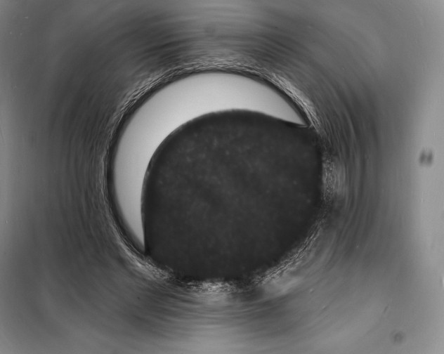 X0000098230493200805151344