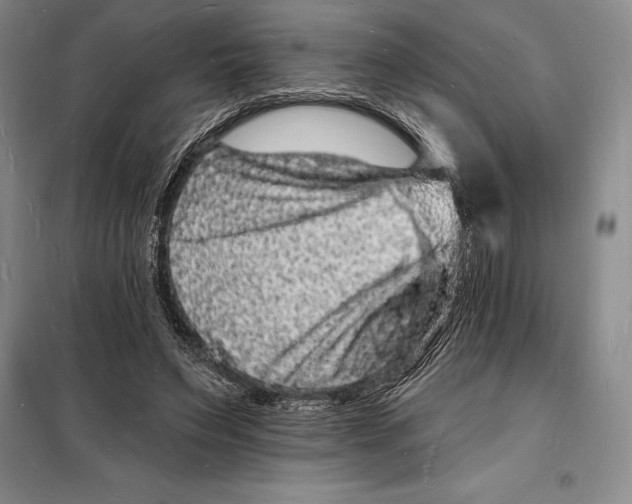 X0000098230495200805151344