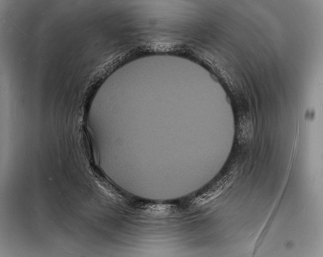 X0000098230497200805151344