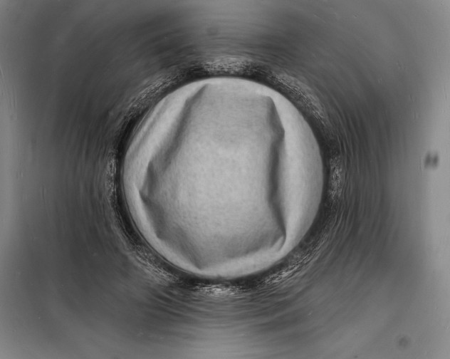 X0000098230498200805151344