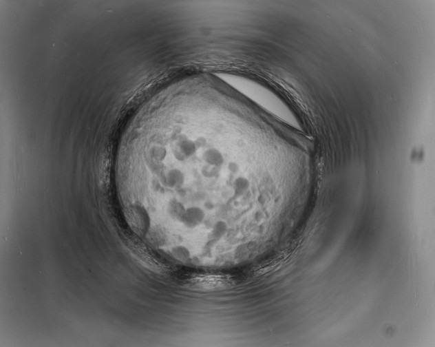 X0000098230499200805151344