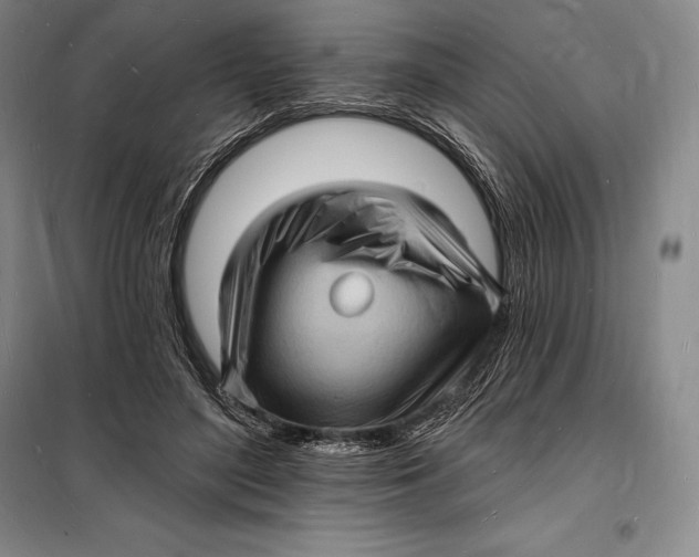 X0000098230500200805151344