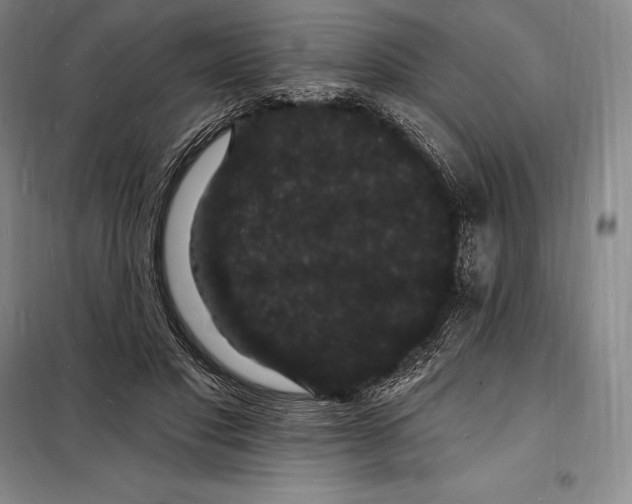 X0000098230501200805151344