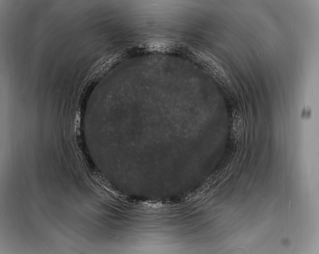 X0000098230502200805151344