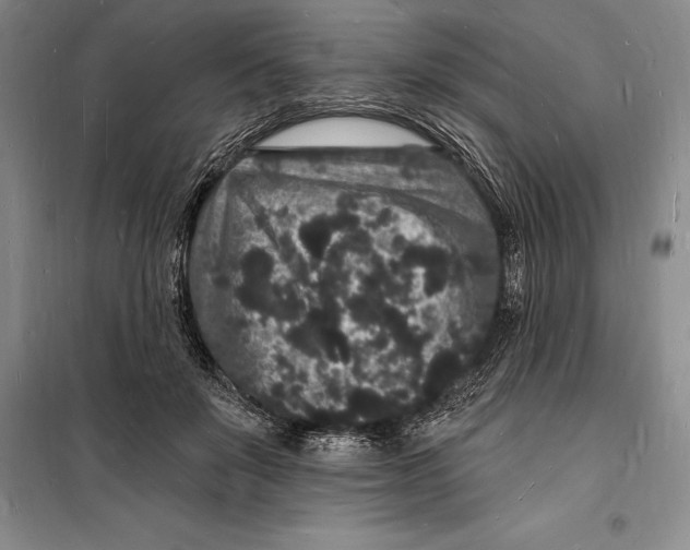 X0000098230503200805151344