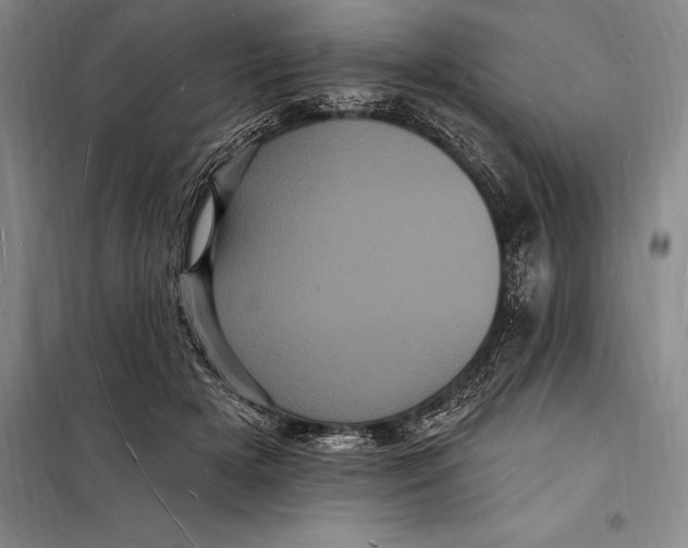 X0000098230505200805151344