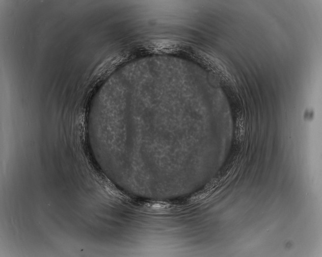 X0000098230506200805151344