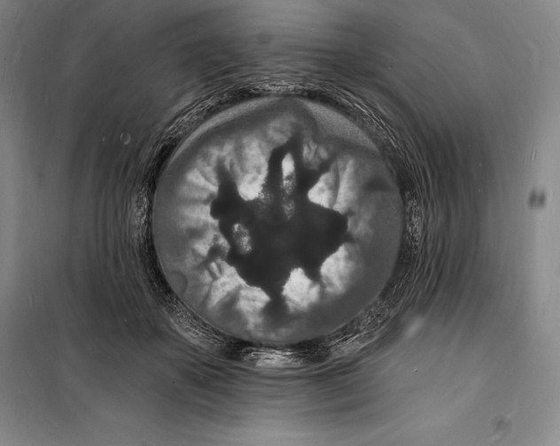 X0000098230507200805151344