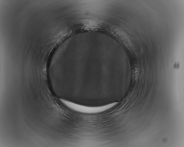 X0000098230508200805151344