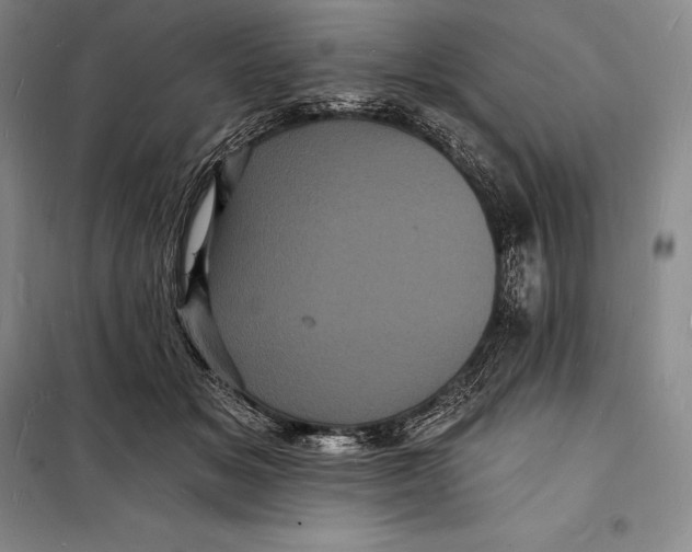 X0000098230509200805151344