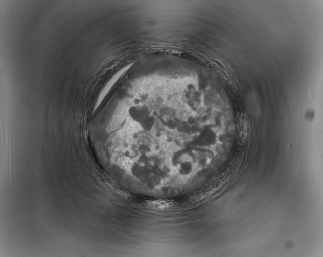 X0000098230511200805151344