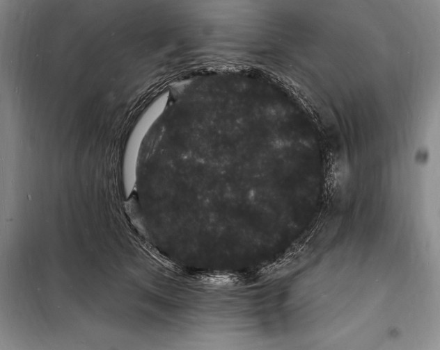 X0000098230513200805151344